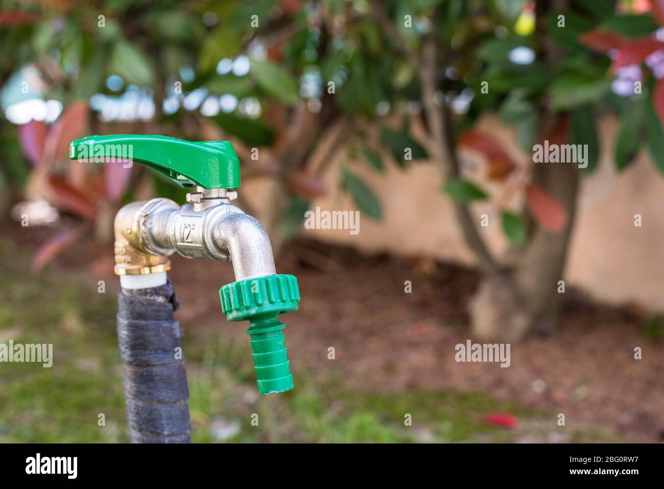 Primo piano di un rubinetto d'acqua in un giardino in casa in una giornata di primavera Foto Stock