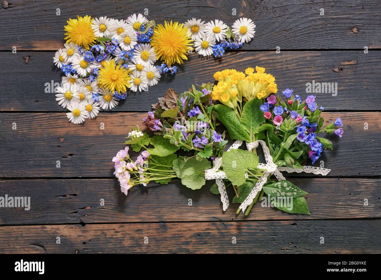 Collezione di erbe sane commestibili e fiori selvatici (dandelioni, margherite, miositi, cucucucuculo, Alliaria petiolata, edera macinata, vigliette, ungwort) Foto Stock