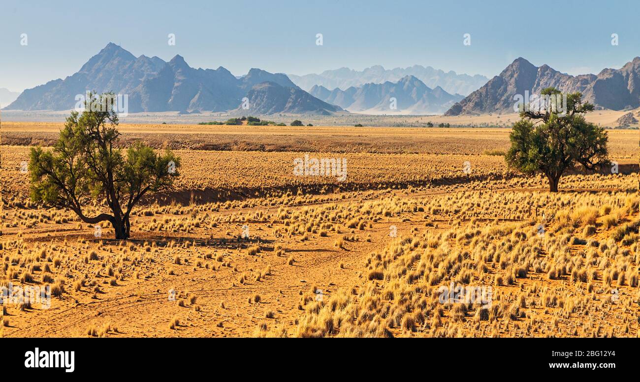 Bellezza panoramica con montagne lontane e aperto velato nella zona desertica di Sossousvlei del Namibia Foto Stock