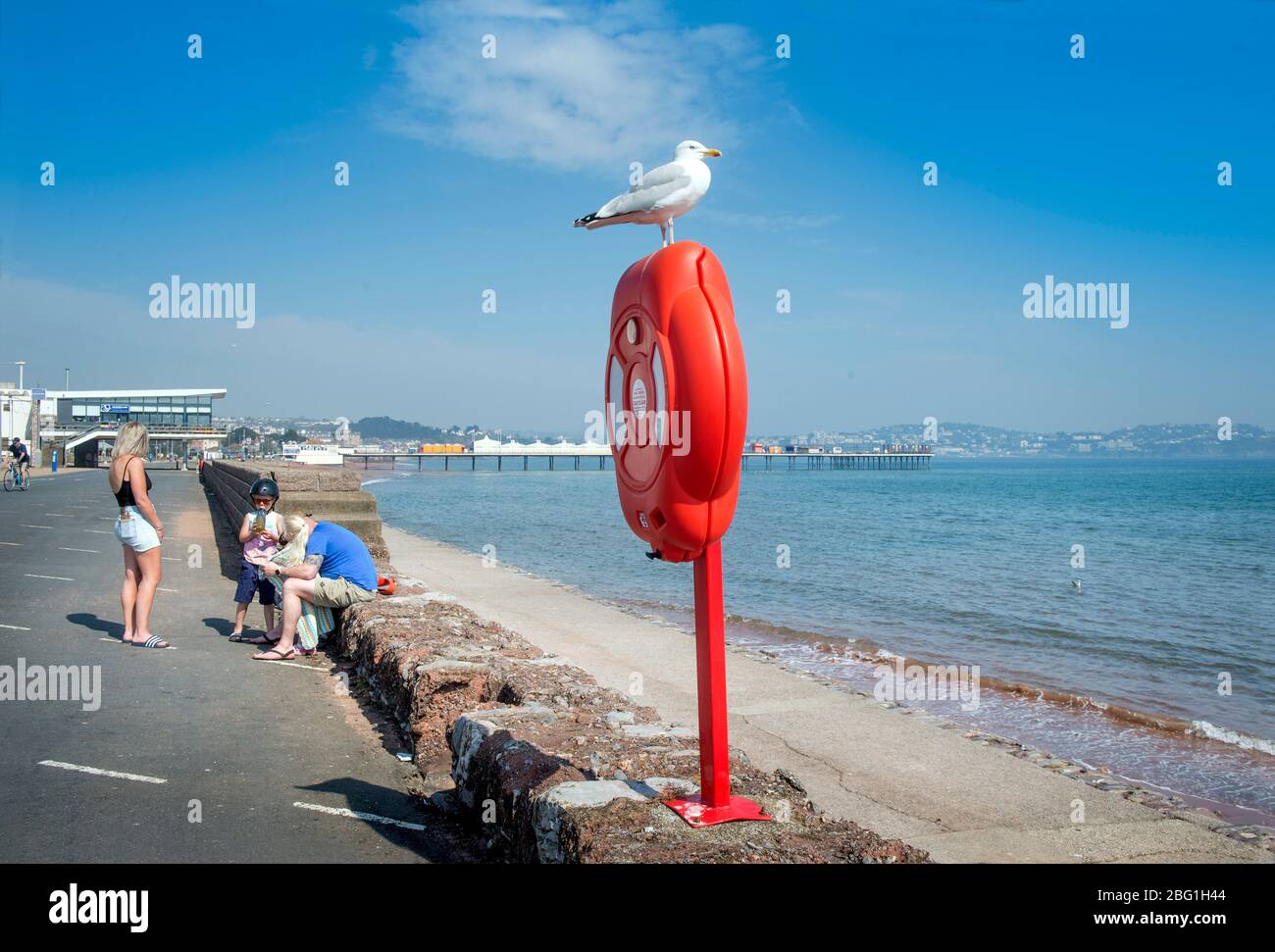 Seagull con la spiaggia vicina deserta a Paignton il fine settimana di festa della Banca di Pasqua durante il blocco di Coronavirus, Regno Unito Foto Stock