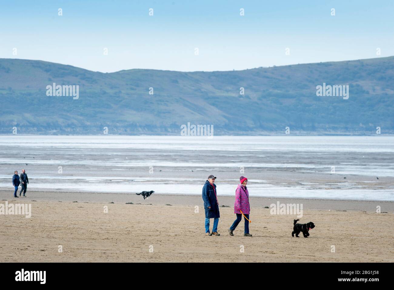 Due coppie che osservano le distanze sociali camminano i loro cani sulla spiaggia a Weston-super-Mare durante il blocco di Coronavirus, Regno Unito Foto Stock