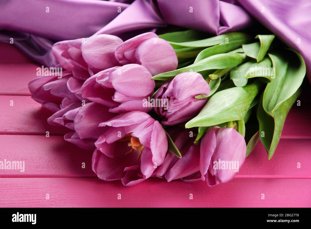 Bel bouquet di tulipani viola su sfondo di legno rosa Foto Stock