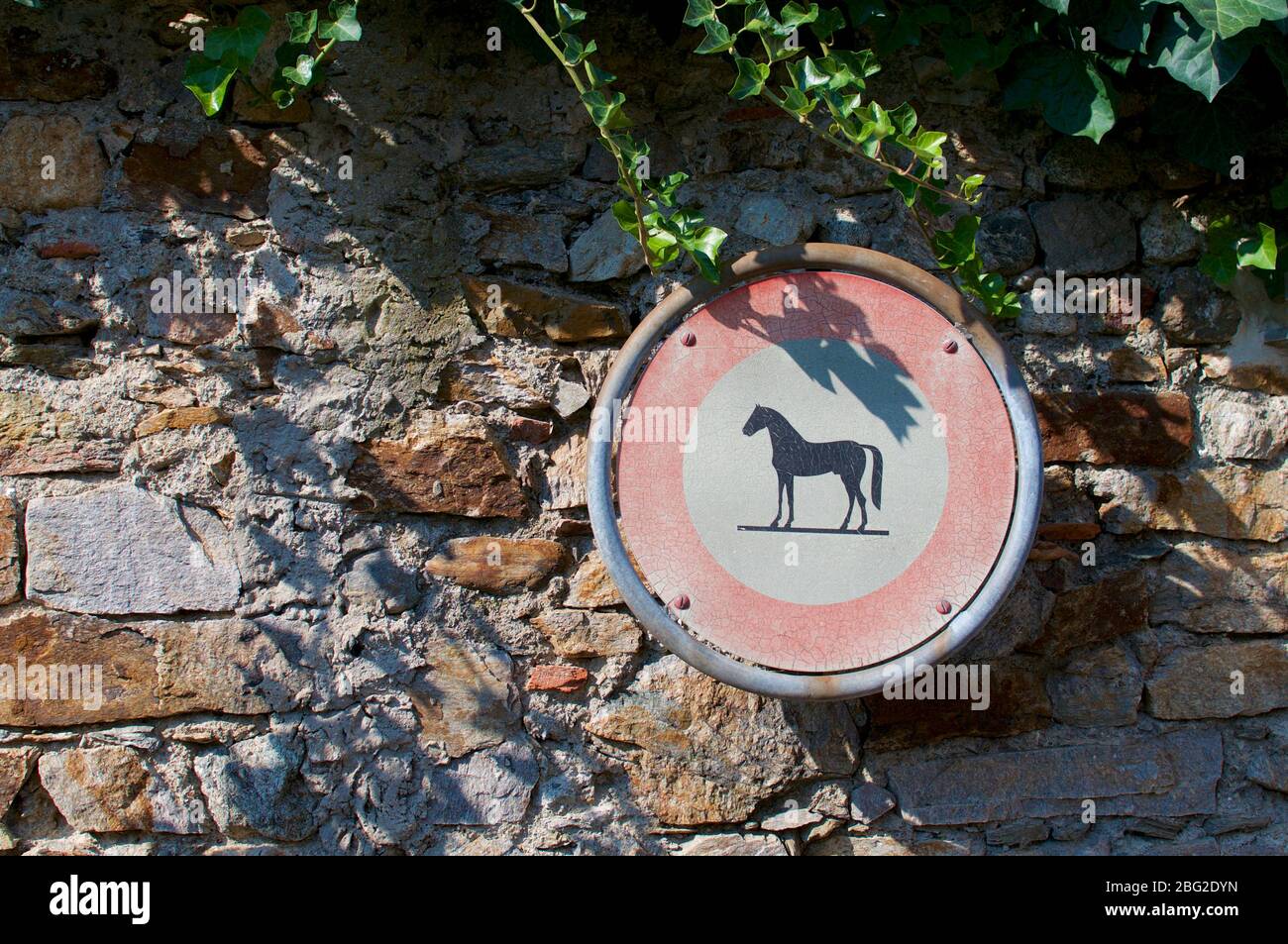 Nessun cavallo o nessuna maneggio permesso segno appeso davanti ad un muro di pietra a Montagnola, Svizzera Foto Stock