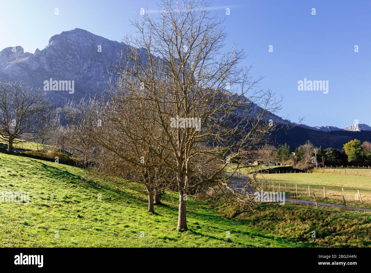 paesaggio panoramico in montagna Foto Stock