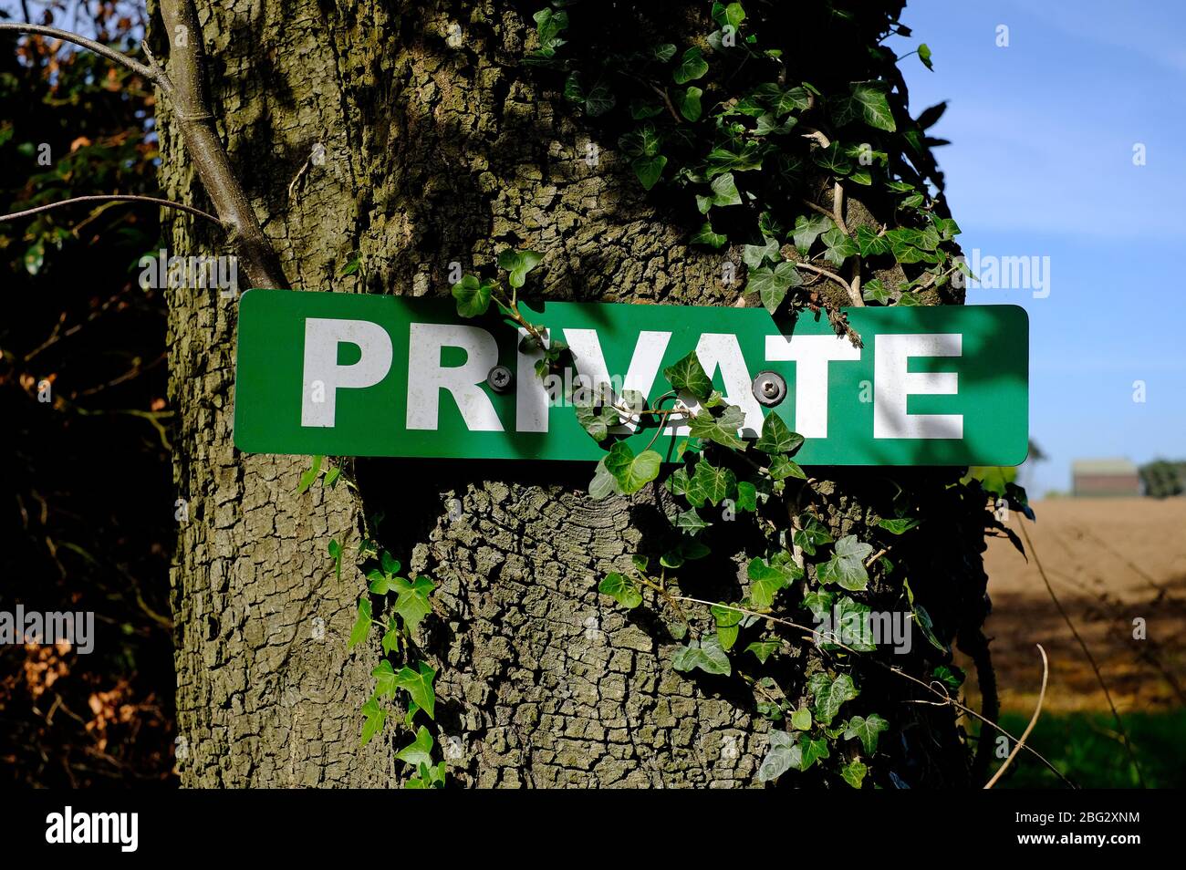 cartello privato avvitato al tronco dell'albero su terreno agricolo, norfolk, inghilterra Foto Stock