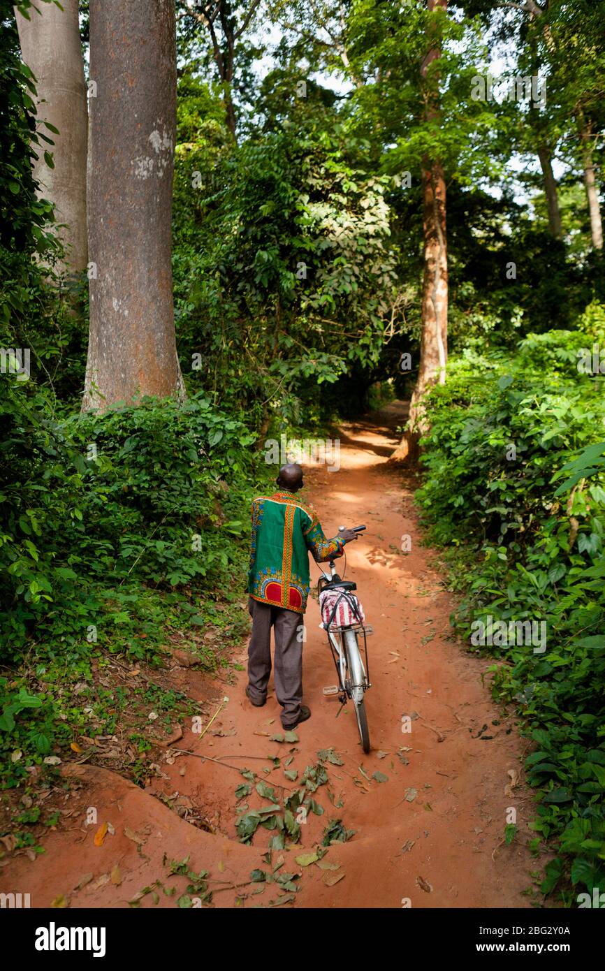 L'uomo locale spinge una bicicletta attraverso il Santuario delle scimmie di Boabeng-Fiema nel Ghana centrale, Africa occidentale. Foto Stock