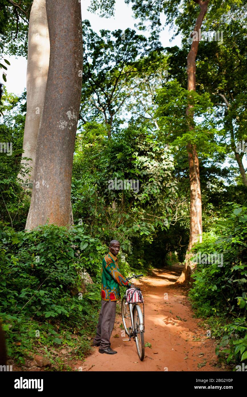 L'uomo locale spinge una bicicletta attraverso il Santuario delle scimmie di Boabeng-Fiema nel Ghana centrale, Africa occidentale. Foto Stock