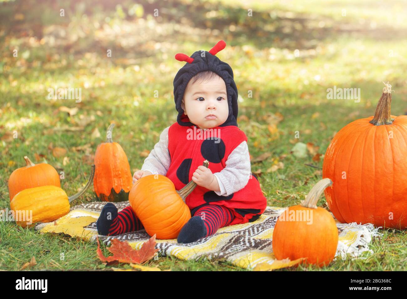Bambina cinese asiatica in costume ladybug seduto in autunno parco  all'aperto. Capretto divertente in costume sulla fattoria con le zucche che  che celebrano Halloween Foto stock - Alamy