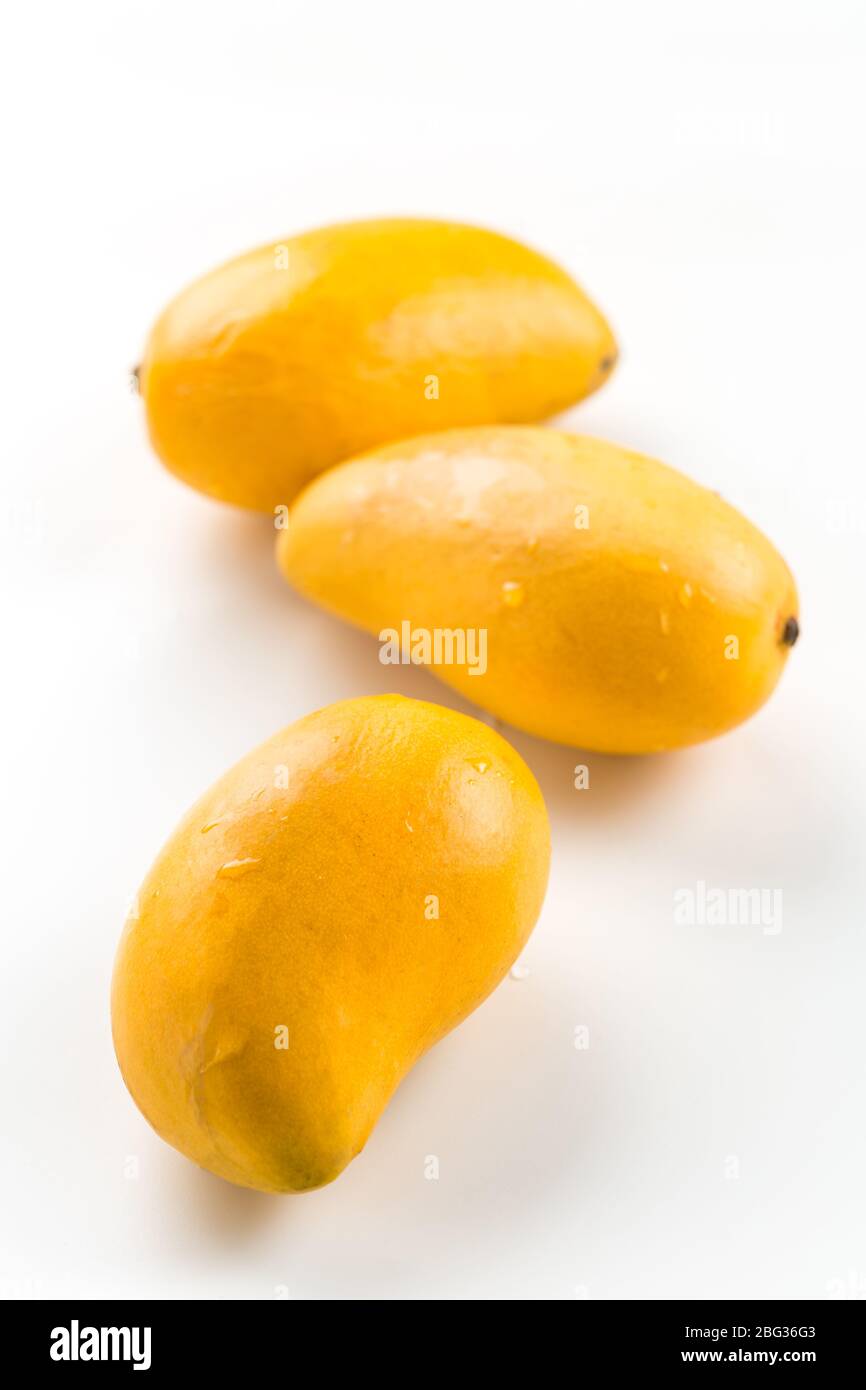 Frutta fresca di mango di miele su sfondo bianco. Ataulfo (mango) dal Messico. Foto Stock