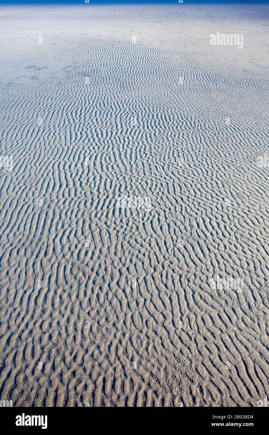 Il movimento naturale delle onde e del vento formò modelli nella sabbia piatta della spiaggia sulla costa dello stato di Washington. Foto Stock