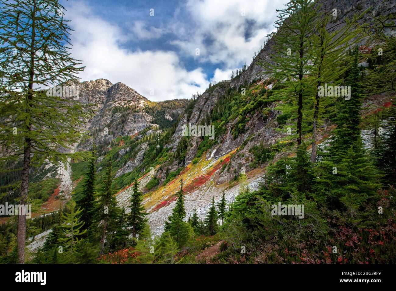 Gli alberi di larice alpino danno il posto alle pendici di talus sulle montagne nel Parco Nazionale delle Cascate del Nord, sotto un cielo blu con nuvole bianche Foto Stock