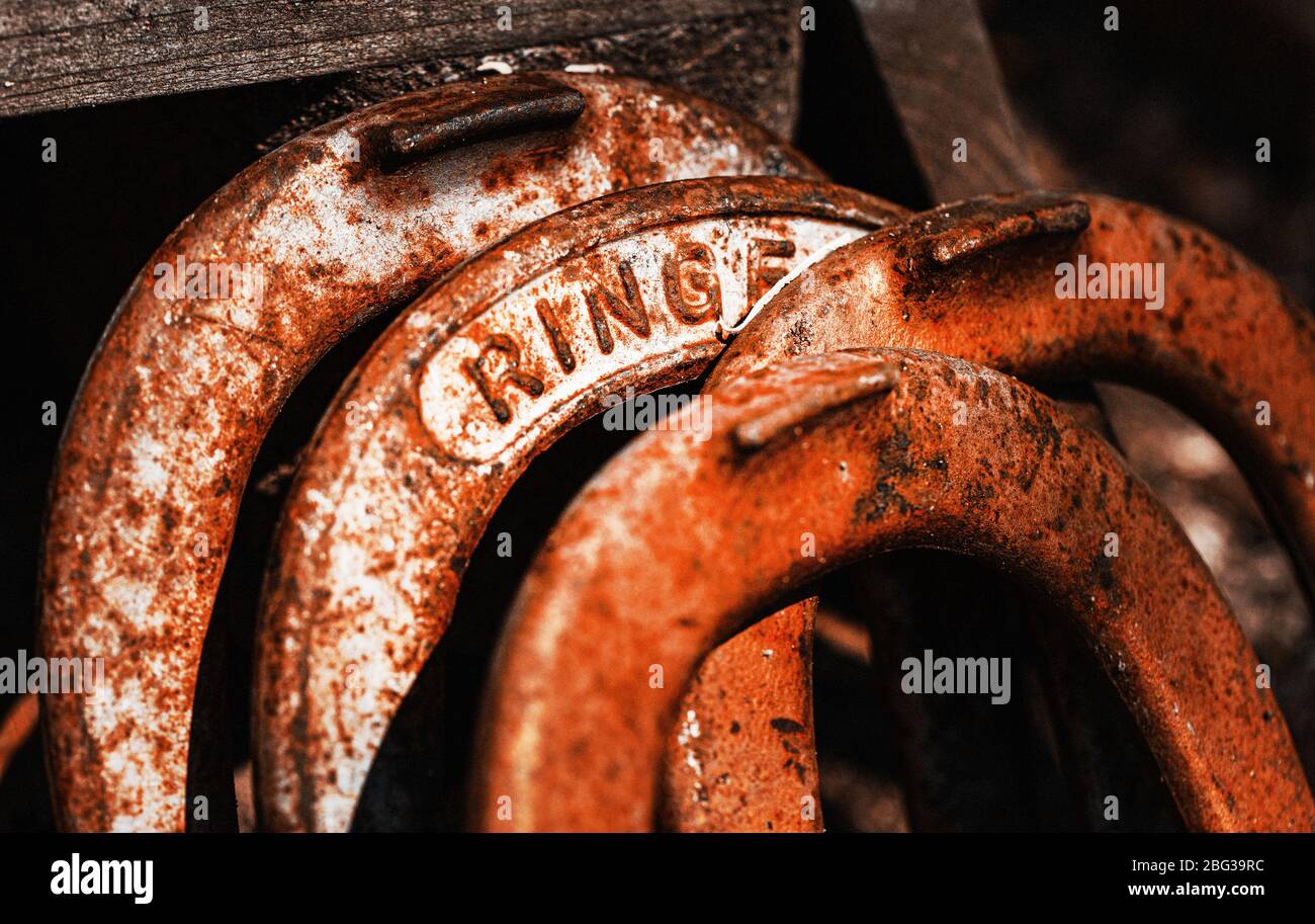 cavalli di ferro arrugginiti nel cortile posteriore Foto Stock