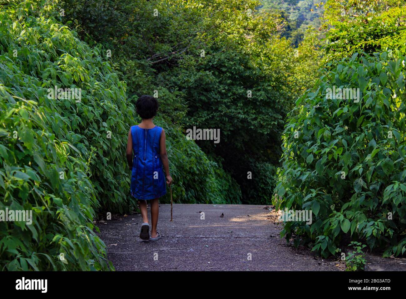 Una bambina che cammina in un parco con sfondo verde Foto Stock