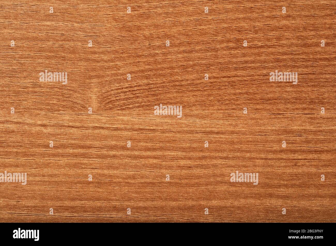 legno mica trama fondo Foto Stock