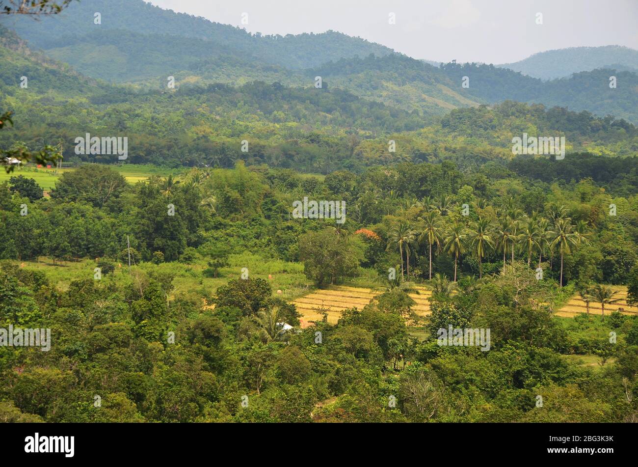 Campagna rurale in Coron isola interna Filippine Foto Stock