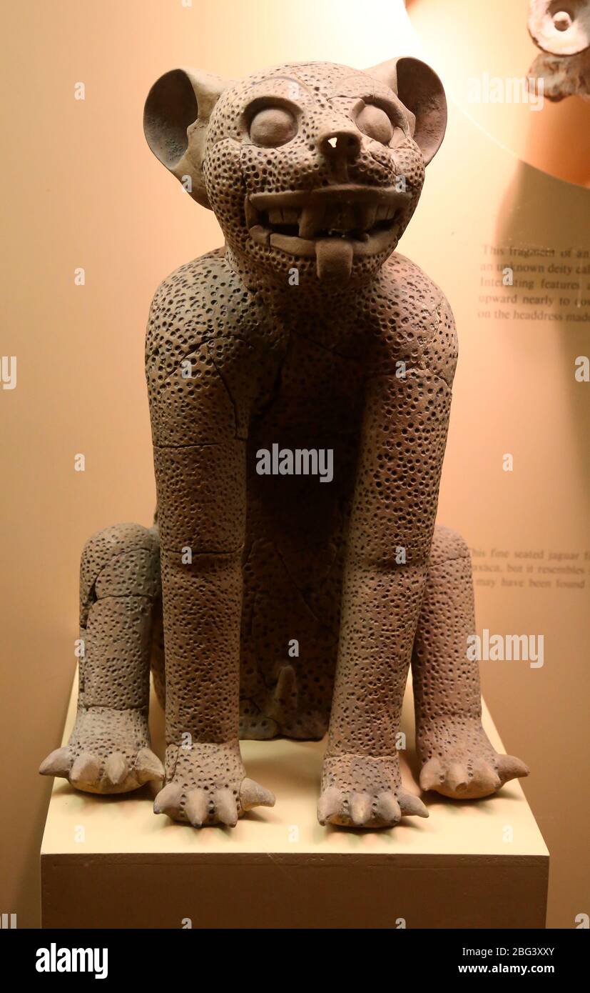 Era precolombiana. Mesoamerica. jaguar Clay da Monte Alban, Oaxaca, Messico. 200BC-600AD. Museo Americano di Storia Naturale. NY Foto Stock