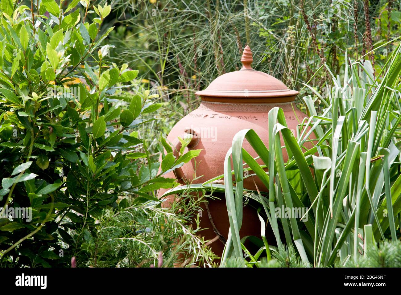 Giardino ornamentale includono Foto Stock