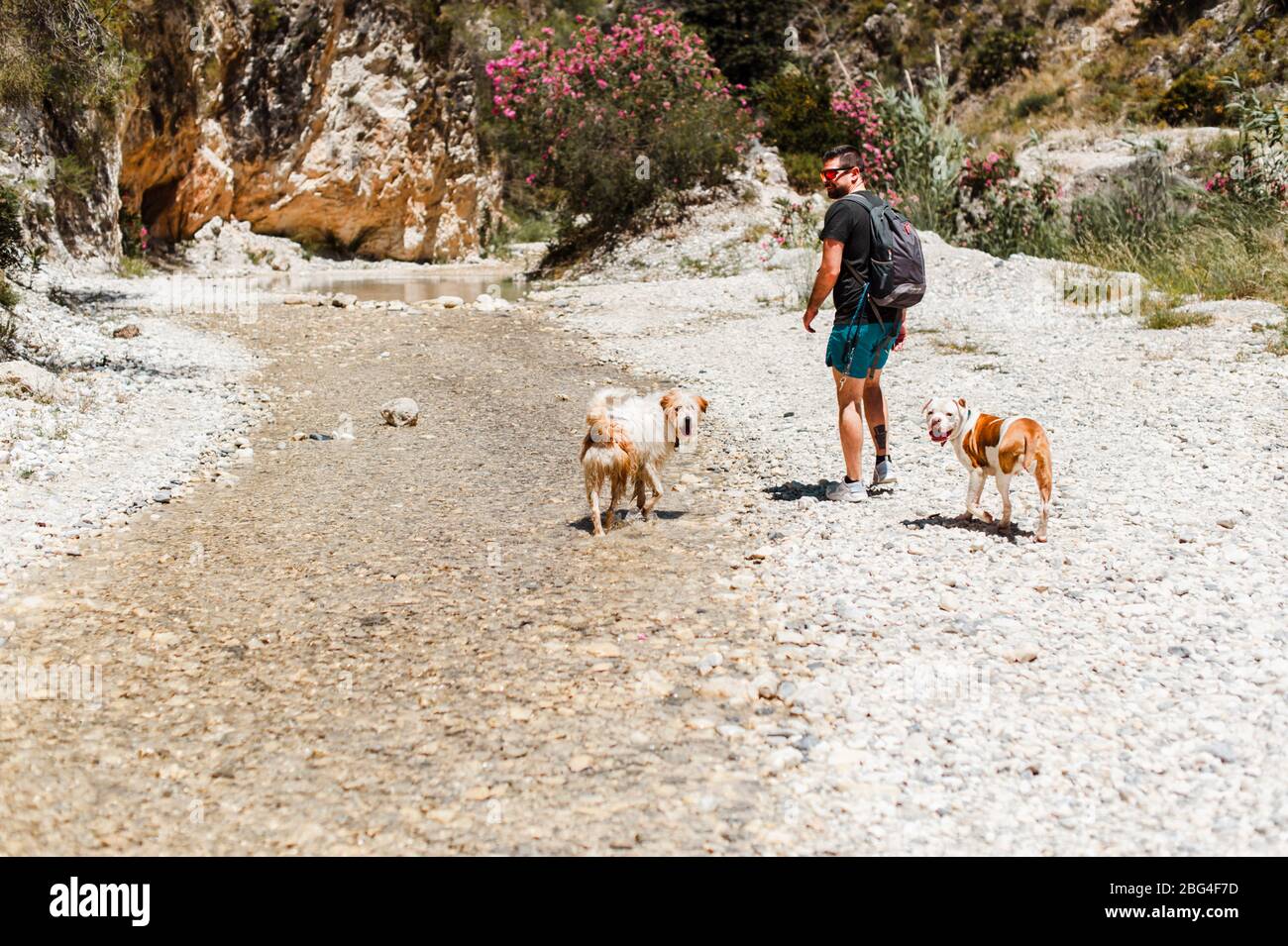 Giovane uomo escursioni sul fiume con cani Foto Stock