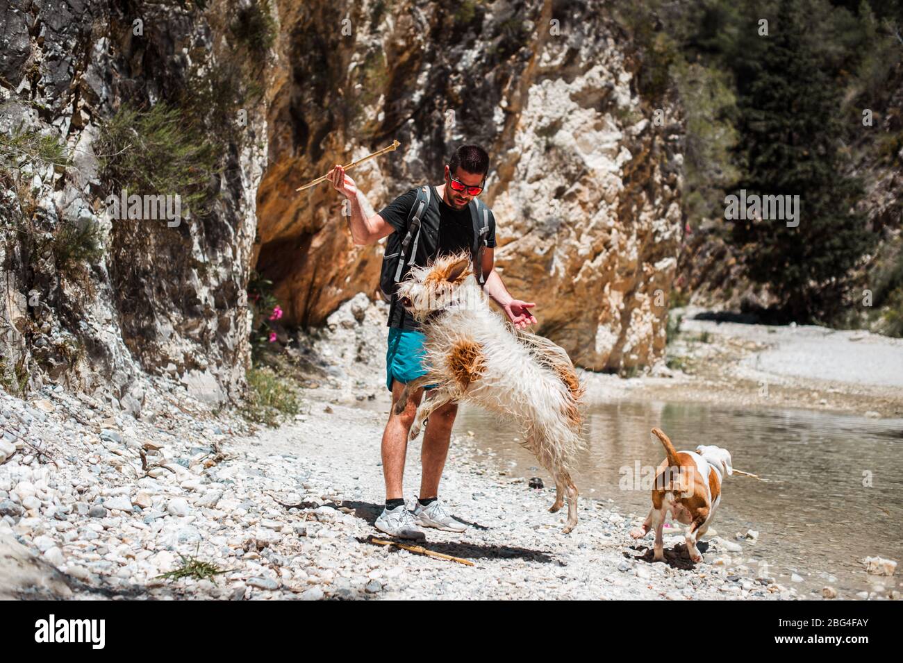 Giovane uomo che gioca con i cani al canyon del fiume Foto Stock