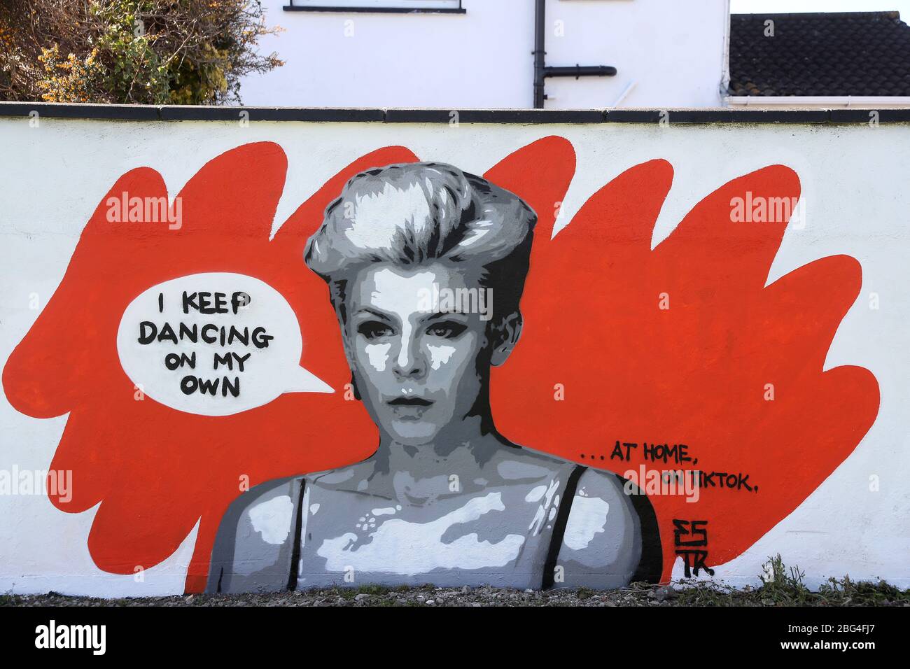 Un murale di Robyn, cantautore di Emmalene Blake, artista irlandese, a South Dublin. L'artista di Dublino ha creato una serie di murales per incoraggiare la gente a rispettare le regole di distanza sociale che caratterizzano artisti come Dua Lipa, Robyn e Cardi B. Foto Stock