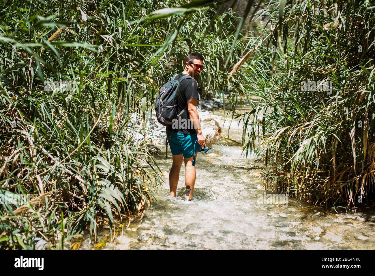 Giovane uomo che fa trekking sul fiume circondato da piante verdi in estate Foto Stock