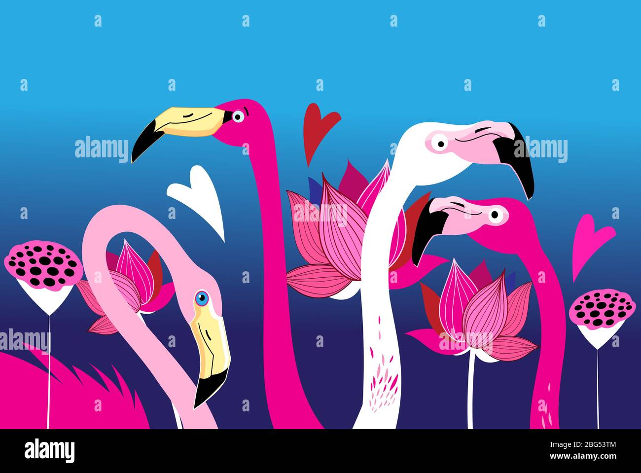 Bellissimi ritratti di grafica di fenicotteri rosa con fiori di loto su sfondo blu Illustrazione Vettoriale