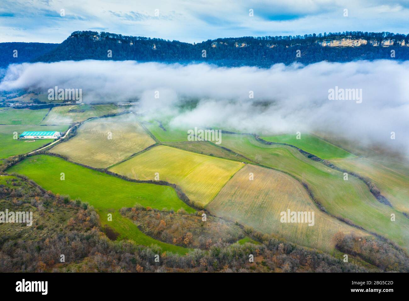 Prati e nebbia. Vista aerea. Foto Stock