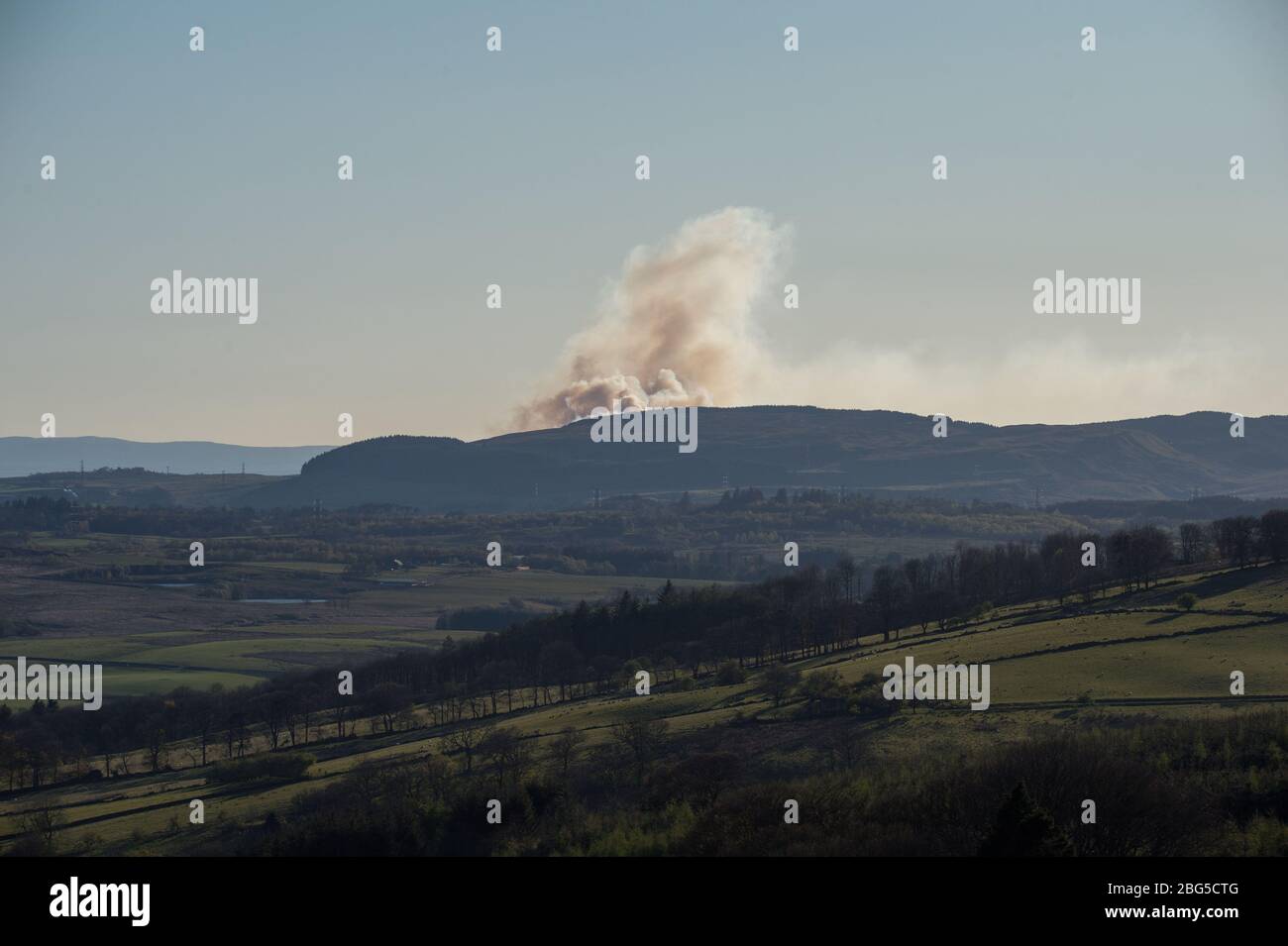 Lennoxtown, Regno Unito. 20 aprile 2020. Nella foto: Enormi prugne di fumo scuro si formano un massiccio fuoco selvatico che sembra fuori controllo, brucia sulle colline Kilpatrick a Glasgow. Credit: Colin Fisher/Alamy Live News Foto Stock