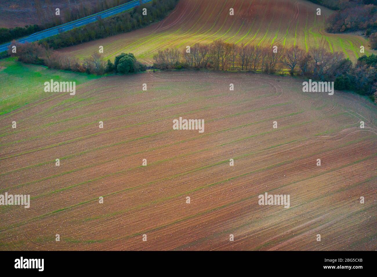 Area agricola. Vista aerea. Foto Stock