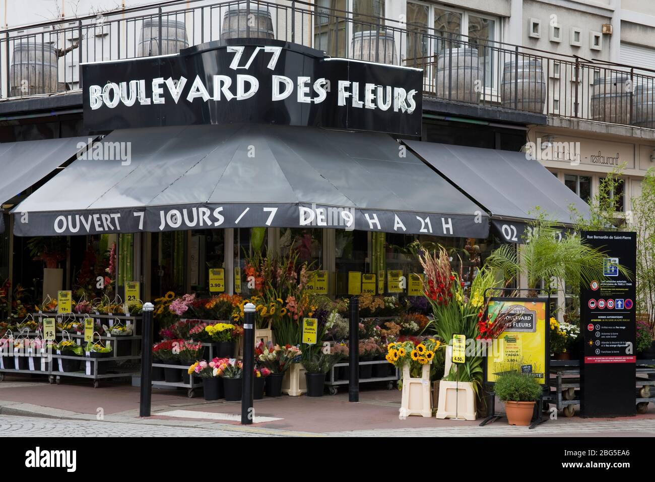 Fioraio su Rue Bernardin de St. Pierre, le Havre, Normandia, Francia, Europa Foto Stock