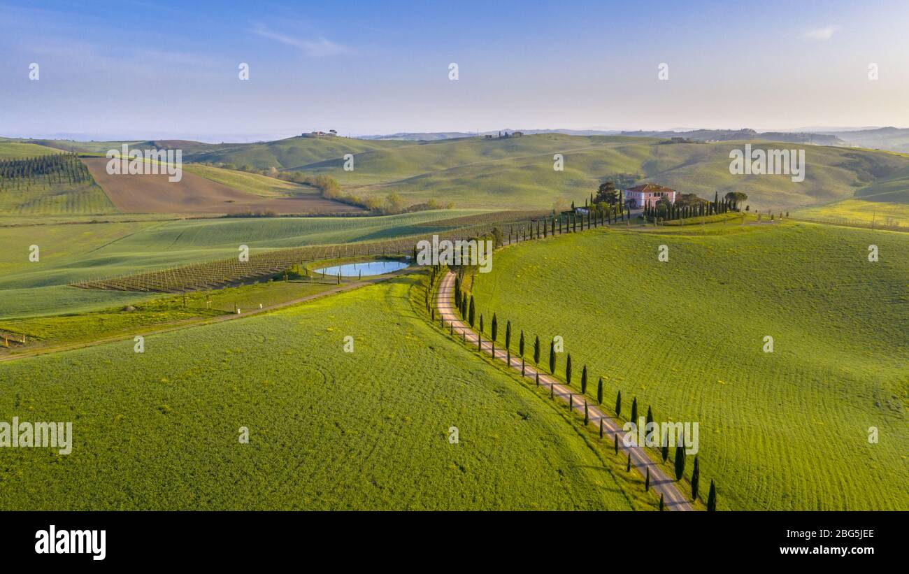 Veduta aerea della campagna Collinare della Toscana in nebbia al mattino in Val d'orcia, Italia, aprile. Foto Stock