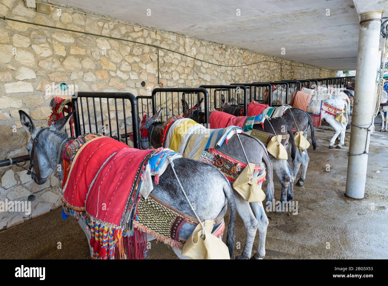 Asino Taxi a Mijas città di Malaga Spagna Foto Stock