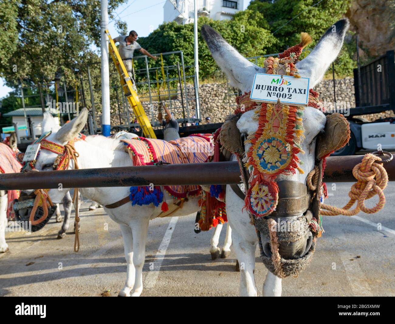 MIJAS, SPAGNA - 6 SETTEMBRE 2016 - asino taxi in attesa nel villaggio di Mijas di Malaga Costa del Sol Foto Stock