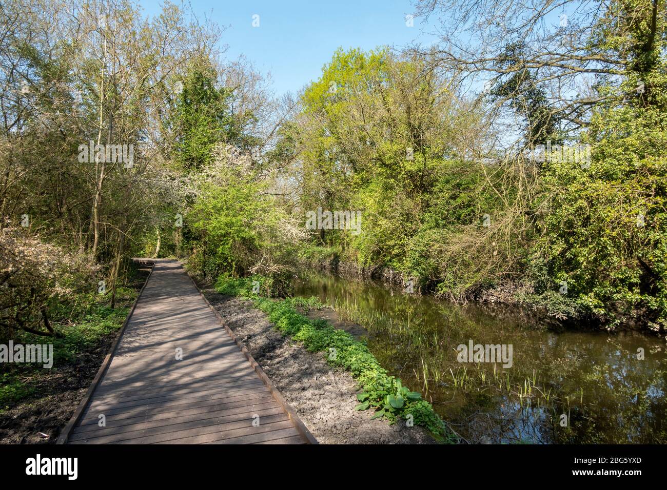 Vista generale lungo un sentiero accanto al fiume Crane al margine di Hounslow Heath, Londra, Regno Unito. Foto Stock