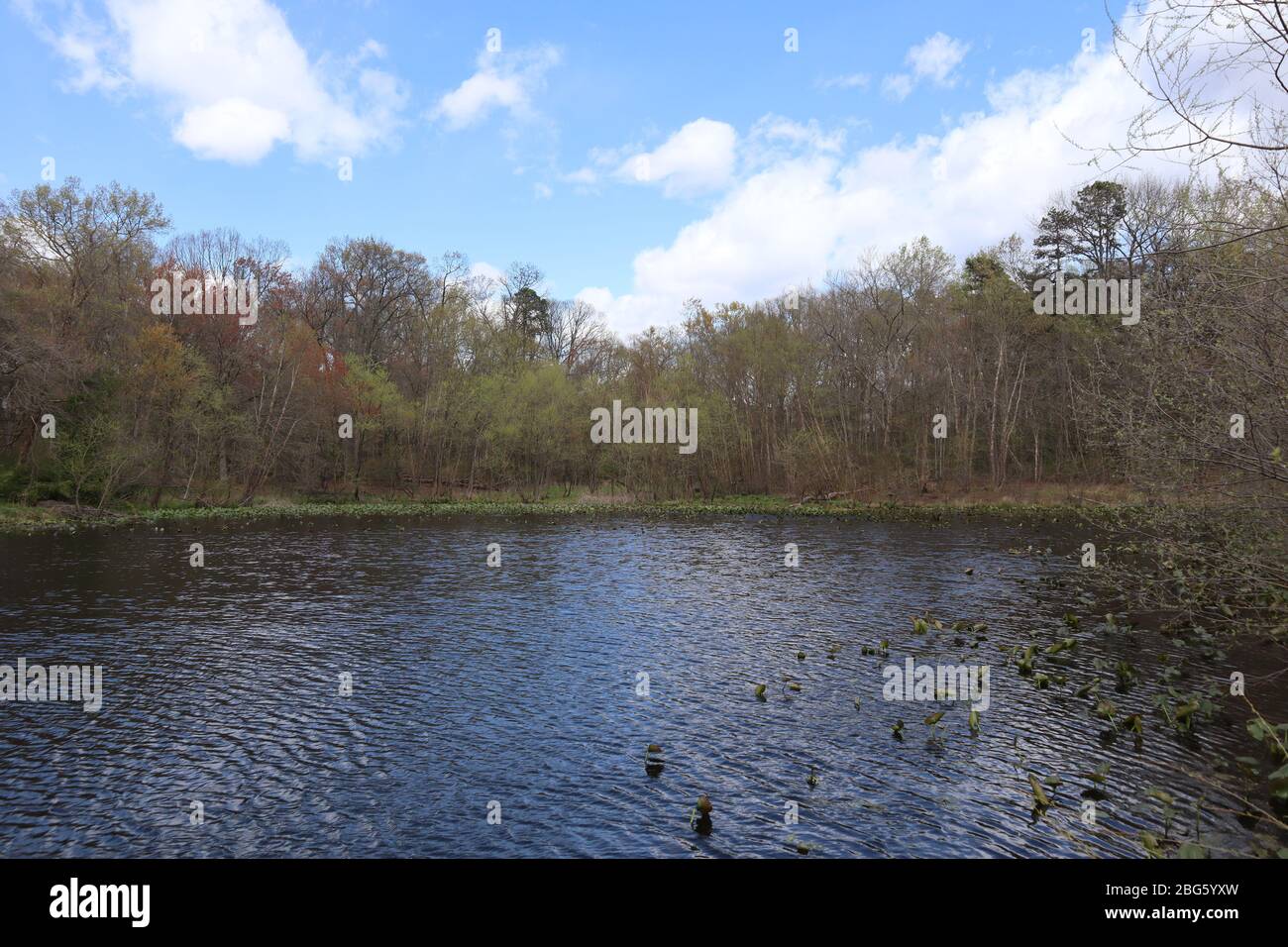 Una foto della natura nel Maryland Foto Stock