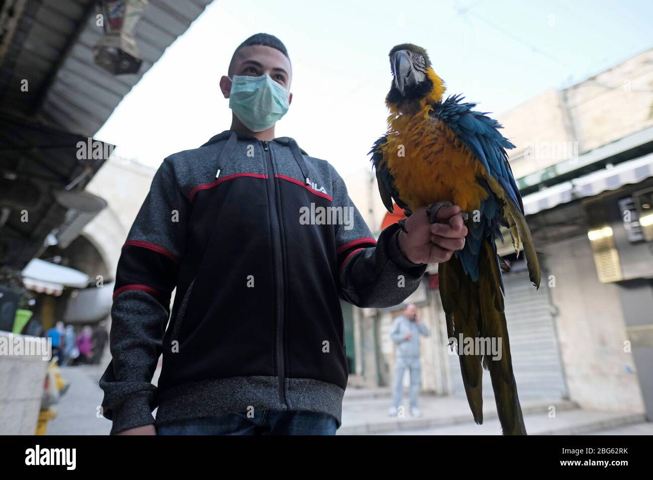 Gerusalemme, Israele. 20 aprile 2020. Pappagallo colorato di Macaw appollaiato sul braccio di un giovane palestinese che indossa una maschera protettiva a causa della pandemia coronavirus COVID-19 nella città vecchia di Gerusalemme Israele Foto Stock