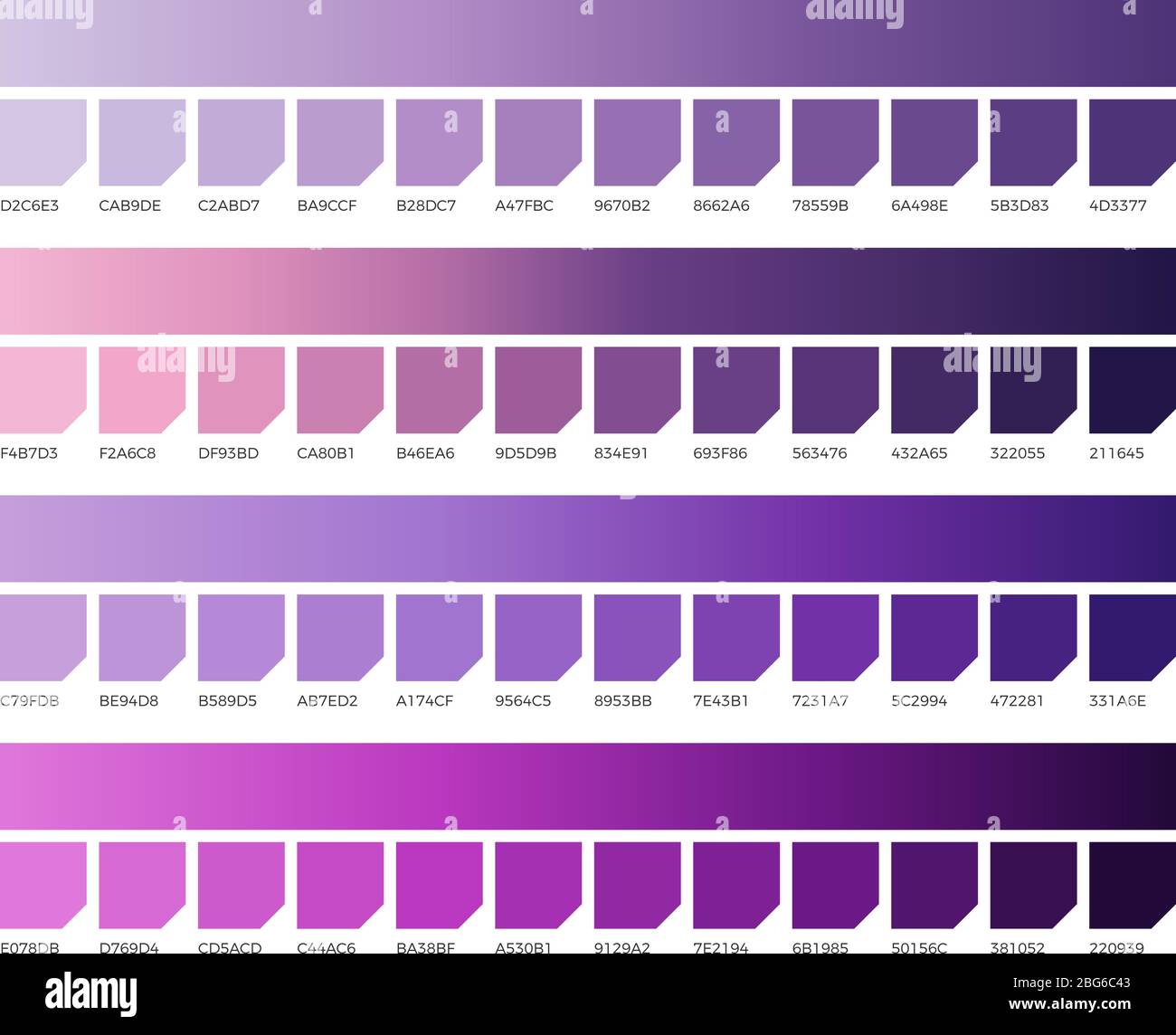 Campioni vettoriali di colore pantone ultravioletti. Colori di 2018. Colore  del campione viola, viola e ultravioletto, illustrazione di colore lavanda  Immagine e Vettoriale - Alamy