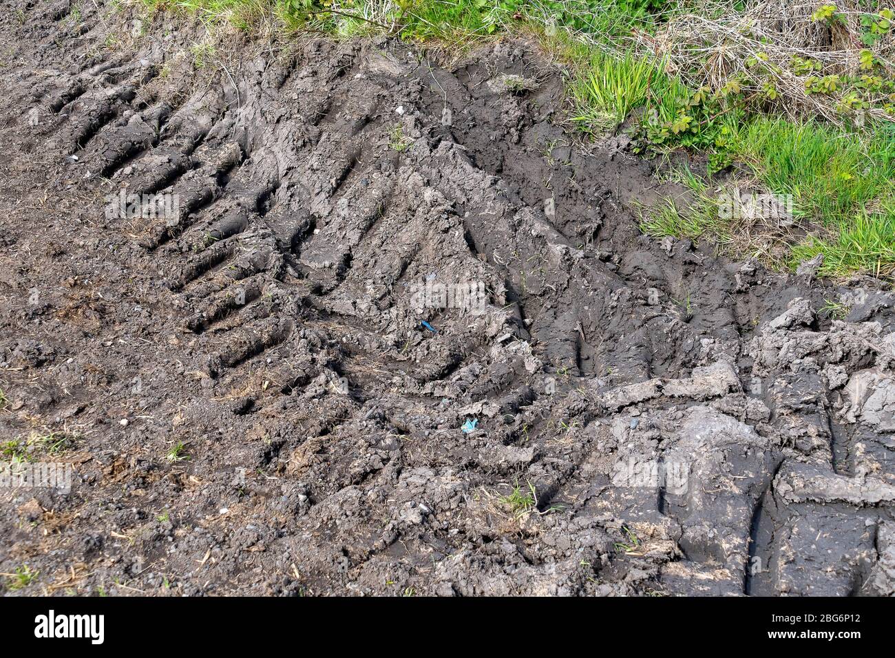 Cingoli di pneumatici di un trattore grande con fango morbido Foto Stock