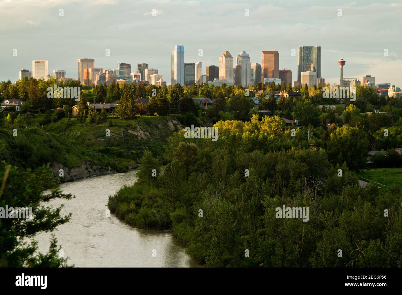 Lo skyline della città di Calgary, Alberta, Canada visto da lontano con gli alberi e il fiume Elbow. Foto Stock