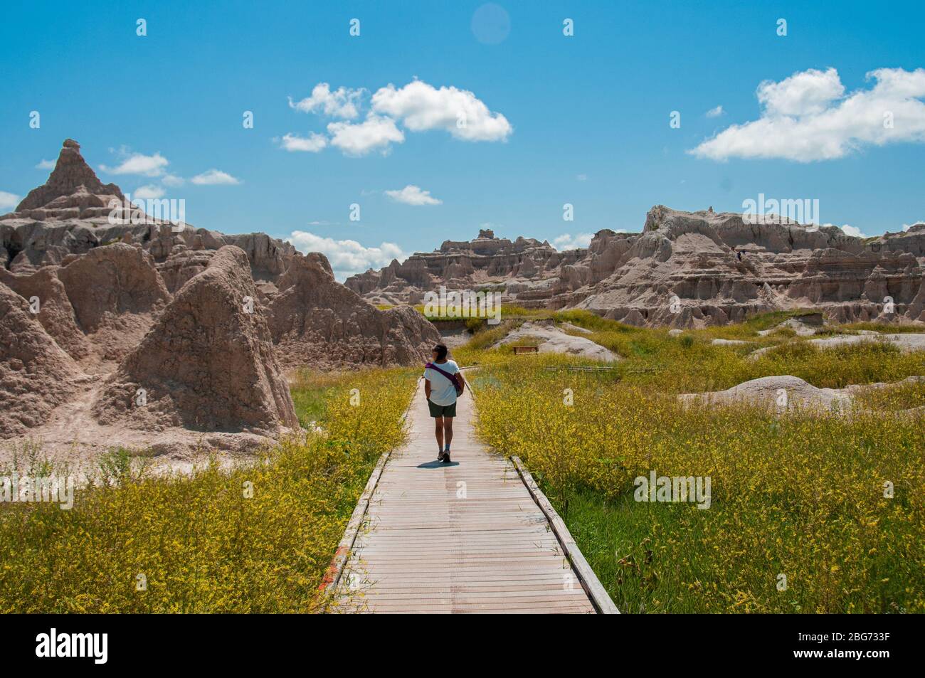 Formazioni rocciose colorate nel Badlands National Park, South Dakota, USA Foto Stock