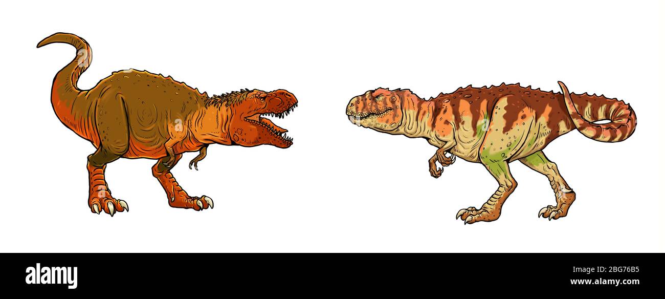 Dinosauri lotta. Gigantosauro contro Tyrannosaurus Rex. Illustrazione Dino. Foto Stock