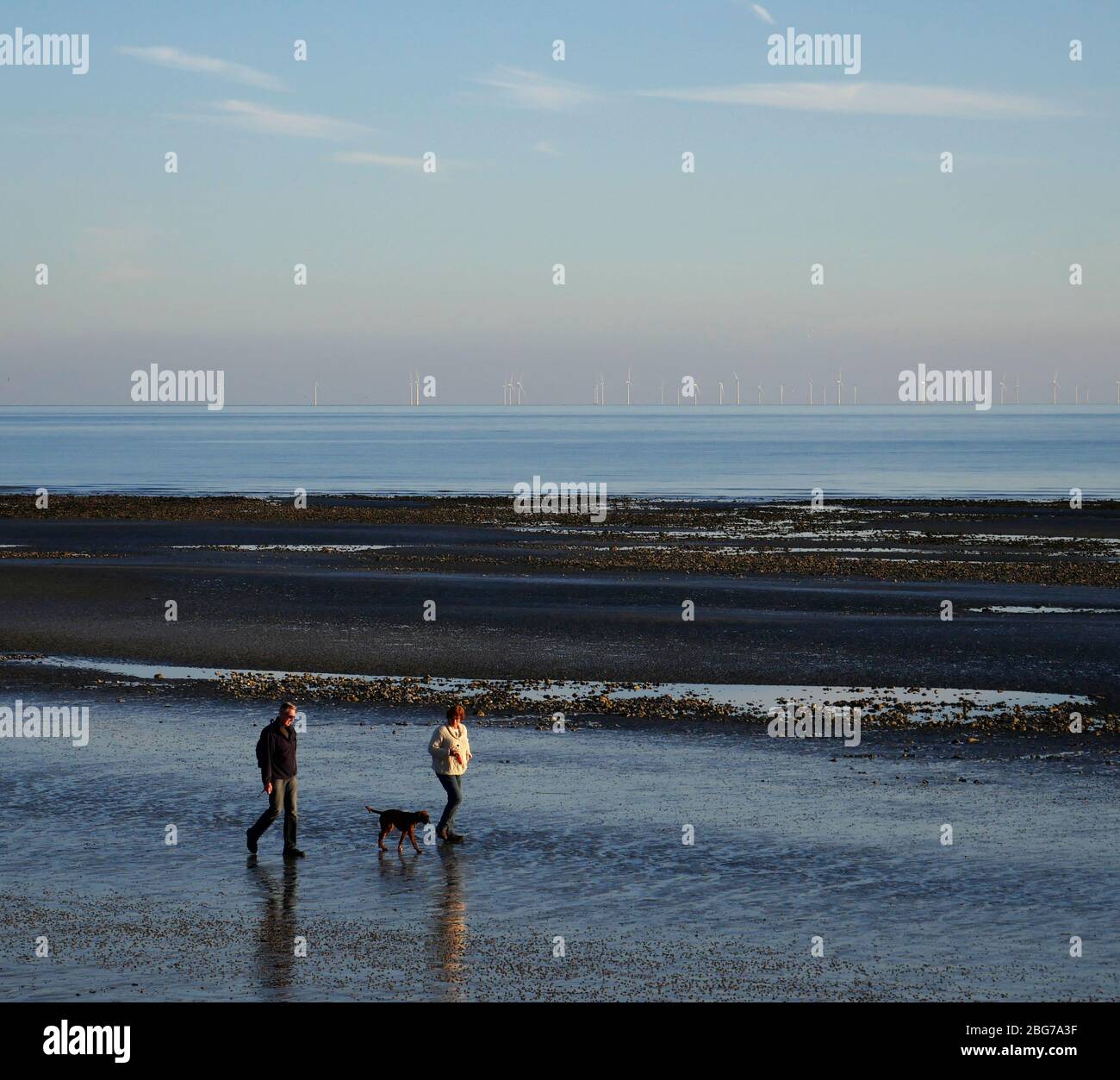 AJAXNETPHOTO. 2019. WORTHING, INGHILTERRA. - LA MAREA È FUORI - UNA COPPIA CHE CAMMINA IL LORO CANE SULLA SPIAGGIA AL TRAMONTO.PHOTO:JONATHAN EASTLAND/AJAX REF:GX8 171711 422 Foto Stock