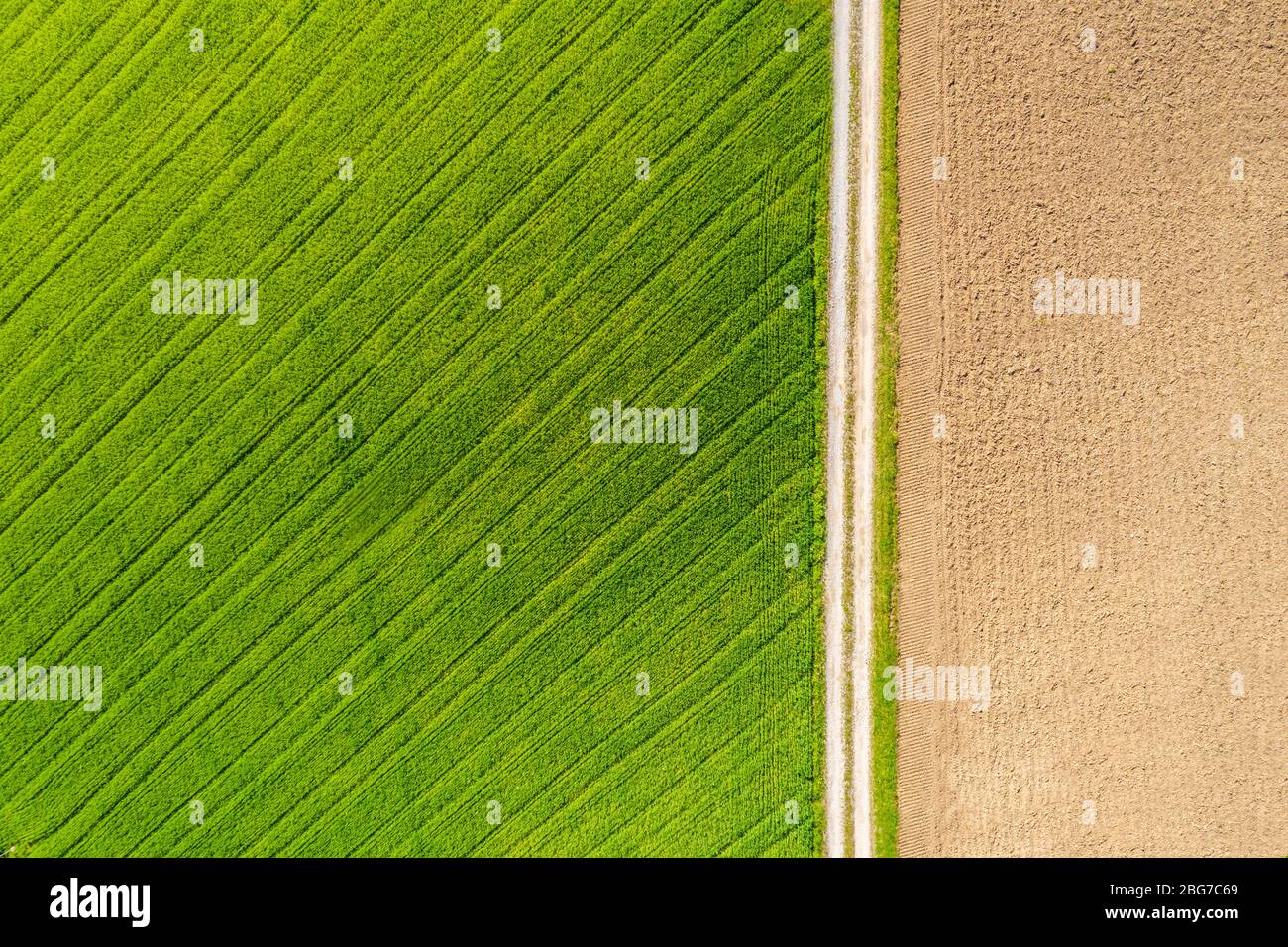 Vista aerea dei campi agricoli in condizioni di sole, campo con un prato verde da un lato e il campo arato dall'altro, è rurale tra Foto Stock