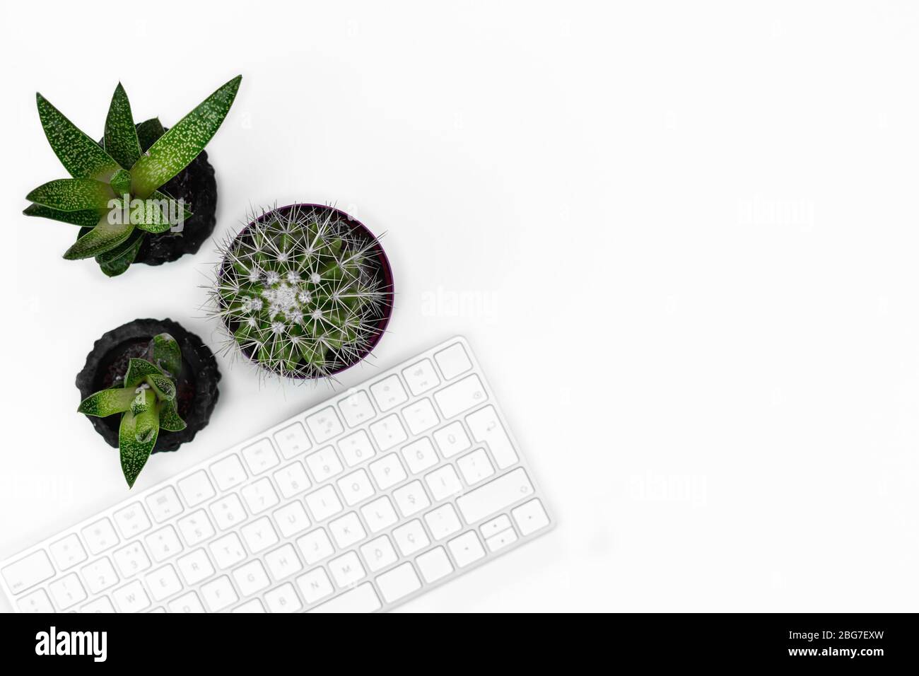 Tavolo da ufficio bianco. Con piante in vaso e tastiera. Spazio per fotocopie. Disposizione piatta Foto Stock