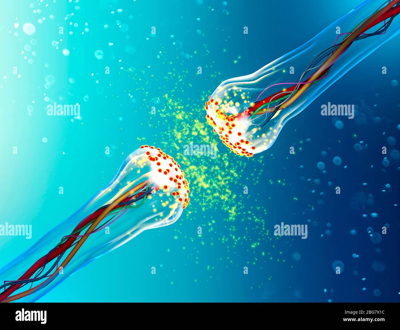 Connessioni sinapsi. Struttura che permette ad un neurone (o cellula nervosa) di passare un segnale elettrico o chimico ad un altro neurone. Sistema nervoso. Cervello Foto Stock