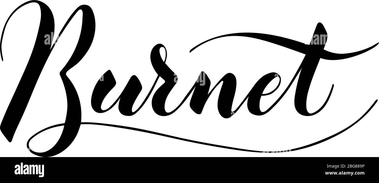 Testo burnet scritto a mano vettoriale isolato su sfondo bianco. Cucina erbe sane e spezie per cucinare. Sceneggiatura spazzhpen scritta con fiori. Scrittura a mano per banner, poster, etichetta del prodotto Illustrazione Vettoriale