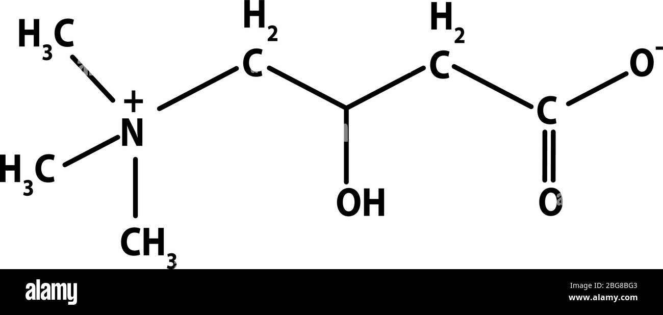 Vitamina B11. L-carnitina formula chimica molecolare. Infografica. Illustrazione vettoriale su sfondo isolato. Illustrazione Vettoriale
