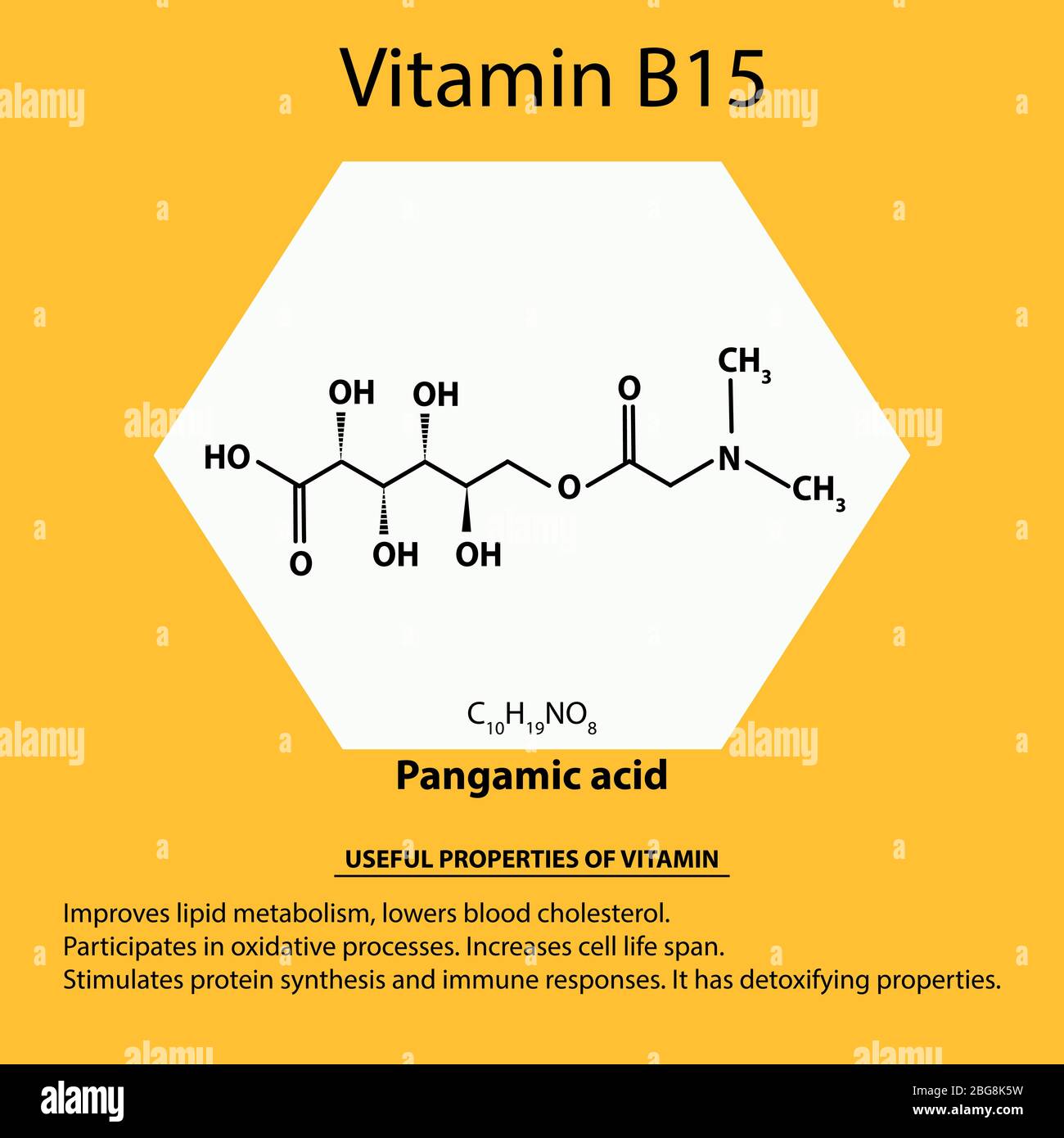 Vitamina B15. Formula chimica molecolare dell'acido Pangamico. Proprietà utili della vitamina. Infografica. Illustrazione vettoriale su sfondo isolato. Illustrazione Vettoriale