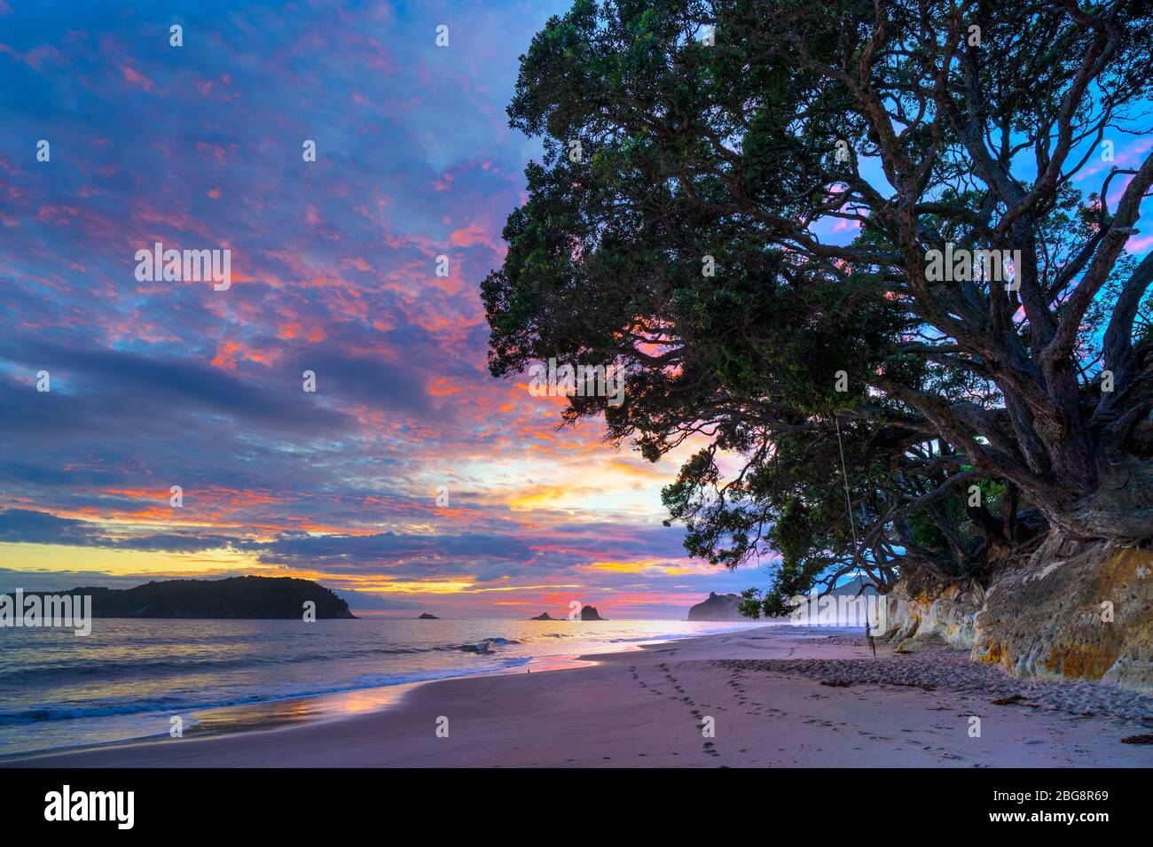 Hahei Beach all'alba, Penisola di Coromandel, Isola del Nord, Nuova Zelanda Foto Stock