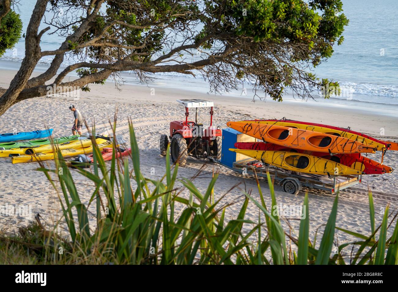 Kayak sulla spiaggia di Hahei, Penisola di Coromandel, Isola del Nord, Nuova Zelanda Foto Stock